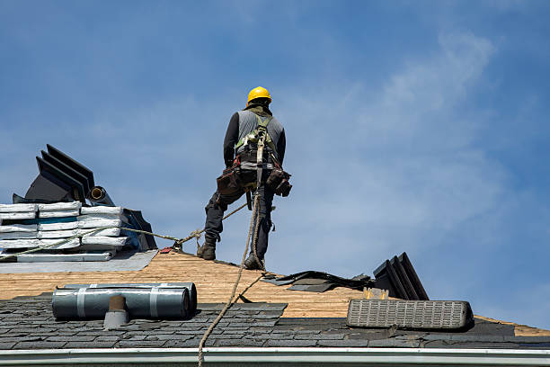 Professional Roofing technician working in Holt, MI
